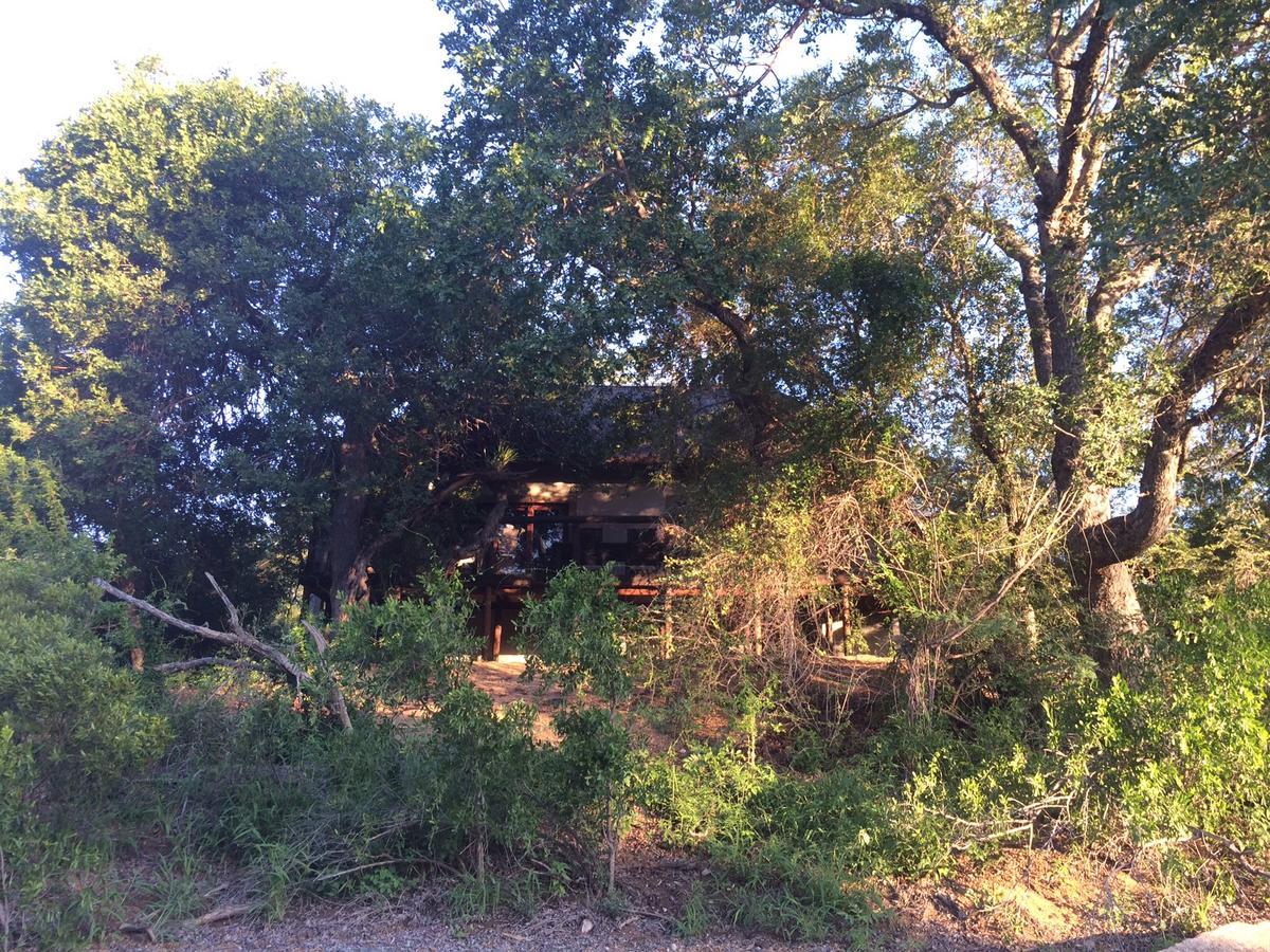 Leadwood Lodge Hoedspruit Exterior foto